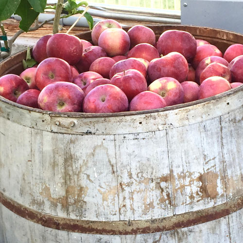 Rowley’s Red Barn | Taste Utah